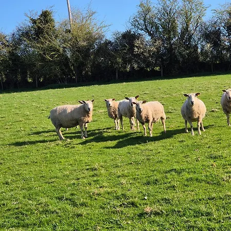 Appartement Farm View Kilkenny