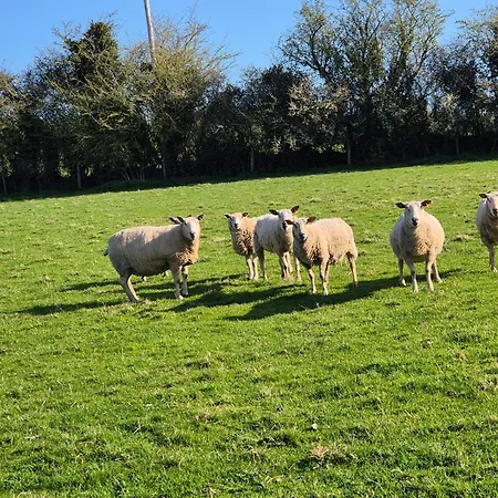 Apartment Farm View Kilkenny