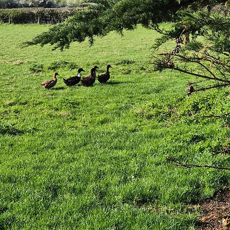 Apartment Farm View *
