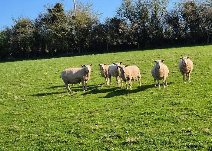 Apartamento Farm View Kilkenny