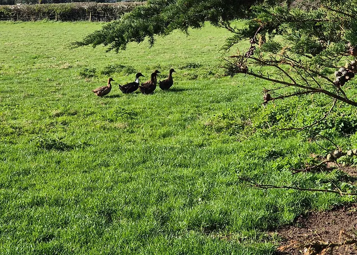 Apartamento Farm View *